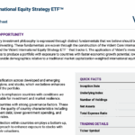 VIDI Q4 2025 FACT SHEET