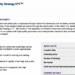 VUSE Q4 2025 FACT SHEET